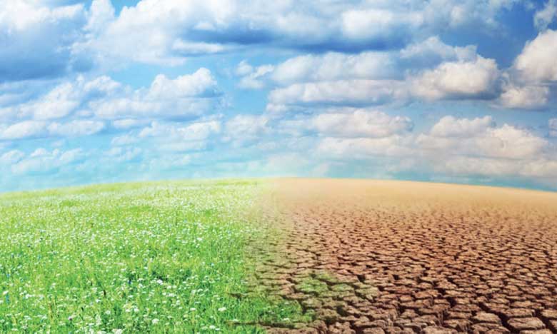 Croissance : le Maroc doit s'adapter aux défis climatiques (FMI)