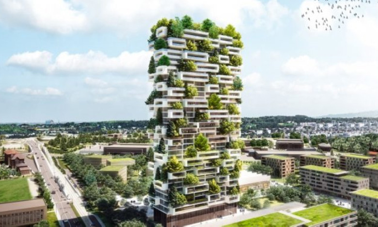 Transition énergétique : le plan d'action du ministère de l'Habitat